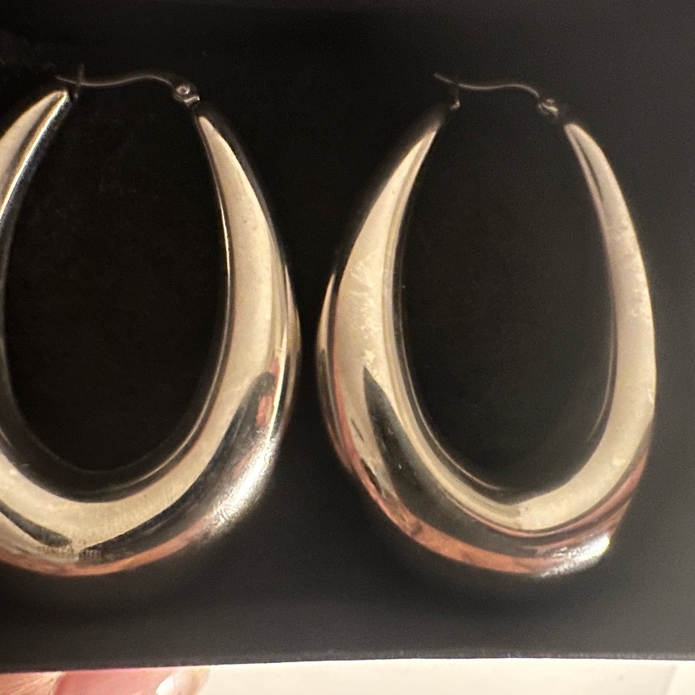 Stainless Steel Oblong Hoop Earrings